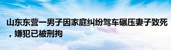 山东东营一男子因家庭纠纷驾车碾压妻子致死,嫌犯已被刑拘