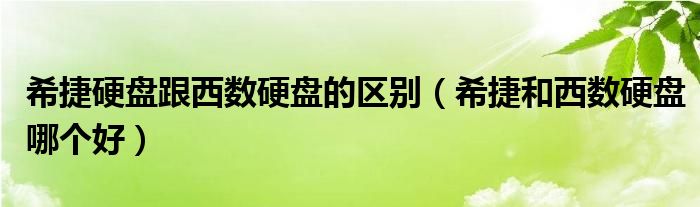 希捷硬盘跟西数硬盘的区别(希捷和西数硬盘哪个好)