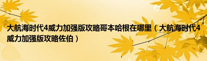大航海时代4威力加强版攻略哥本哈根在哪里(大航海时代4威力加强版攻略佐伯)