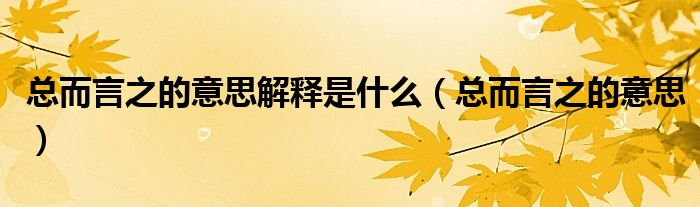 总而言之的意思解释是什么(总而言之的意思)