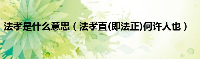法孝是什么意思(法孝直(即法正)何许人也)