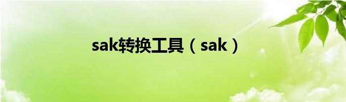 sak转换工具(sak)