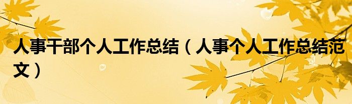 人事干部个人工作总结(人事个人工作总结范文)