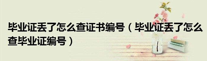 毕业证丢了怎么查证书编号(毕业证丢了怎么查毕业证编号)
