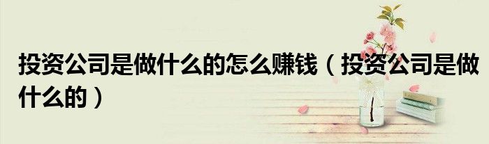 投资公司是做什么的怎么赚钱(投资公司是做什么的)