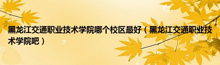 黑龙江交通职业技术学院哪个校区最好(黑龙江交通职业技术学院吧)