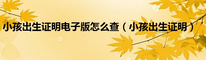 小孩出生证明电子版怎么查(小孩出生证明)