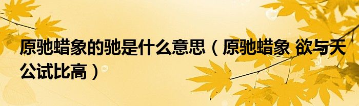 原驰蜡象的驰是什么意思(原驰蜡象 欲与天公试比高)