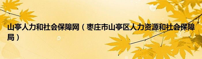 山亭人力和社会保障网(枣庄市山亭区人力资源和社会保障局)
