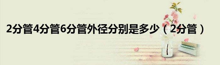 2分管4分管6分管外径分别是多少(2分管)