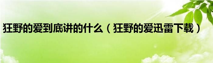 狂野的爱到底讲的什么(狂野的爱迅雷下载)