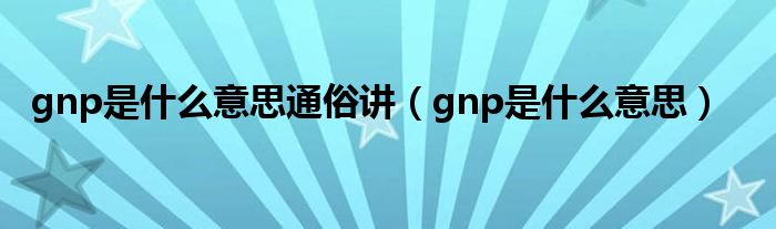 gnp是什么意思通俗讲(gnp是什么意思)