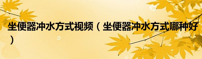 坐便器冲水方式视频(坐便器冲水方式哪种好)