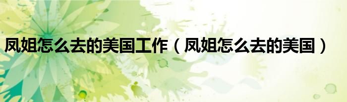 凤姐怎么去的美国工作(凤姐怎么去的美国)