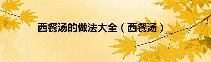 西餐汤的做法大全(西餐汤)