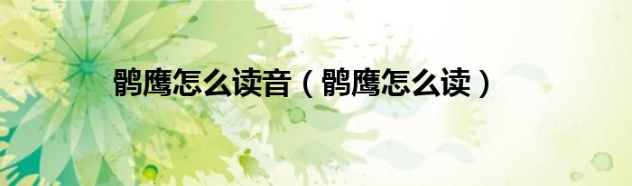 鹘鹰怎么读音(鹘鹰怎么读)