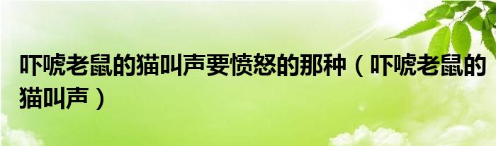吓唬老鼠的猫叫声要愤怒的那种(吓唬老鼠的猫叫声)