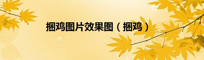 捆鸡图片效果图（捆鸡）