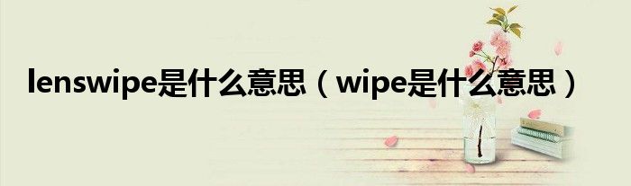 lenswipe是什么意思(wipe是什么意思)