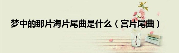 梦中的那片海片尾曲是什么(宫片尾曲)