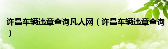许昌车辆违章查询凡人网(许昌车辆违章查询)