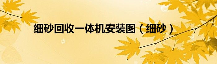 细砂回收一体机安装图(细砂)