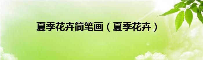 夏季花卉简笔画(夏季花卉)