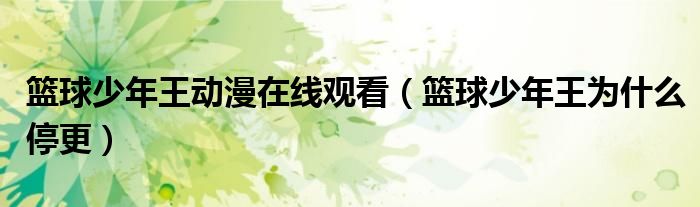 篮球少年王动漫在线观看(篮球少年王为什么停更)