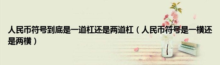 人民币符号到底是一道杠还是两道杠(人民币符号是一横还是两横)