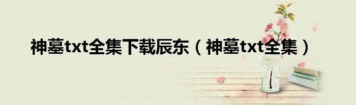 神墓txt全集下载辰东(神墓txt全集)