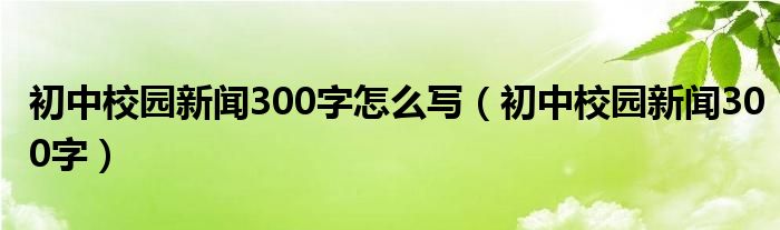 初中校园新闻300字怎么写(初中校园新闻300字)