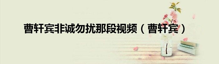 曹轩宾非诚勿扰那段视频(曹轩宾)
