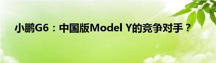 小鹏G6:中国版Model Y的竞争对手?
