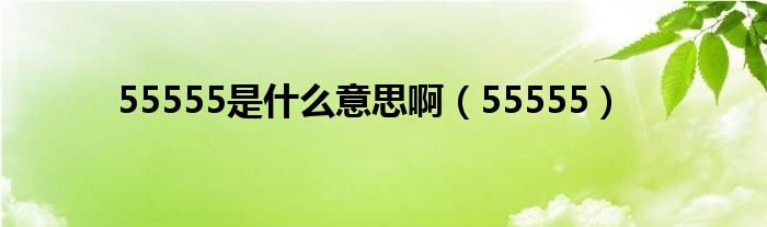 55555是什么意思啊(55555)