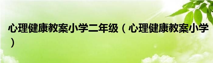 心理健康教案小学二年级(心理健康教案小学)