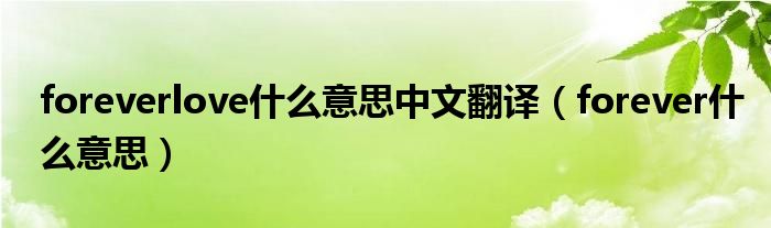 foreverlove什么意思中文翻译(forever什么意思)