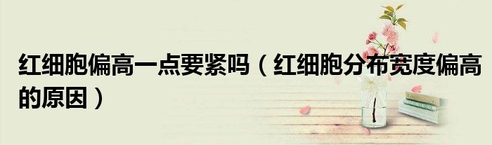 红细胞偏高一点要紧吗(红细胞分布宽度偏高的原因)