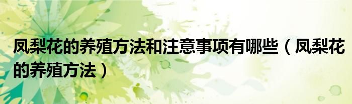 凤梨花的养殖方法和注意事项有哪些(凤梨花的养殖方法)