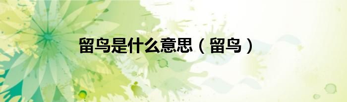 留鸟是什么意思（留鸟）