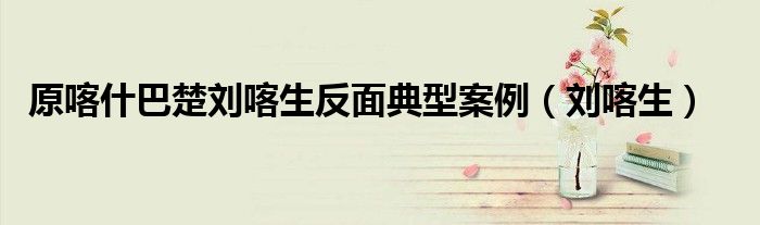 原喀什巴楚刘喀生反面典型案例(刘喀生)