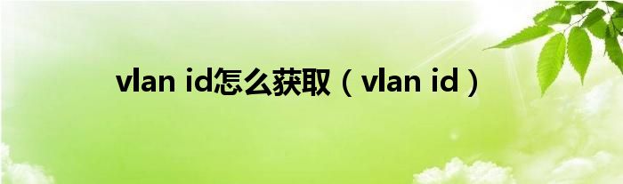 vlan id怎么获取(vlan id)