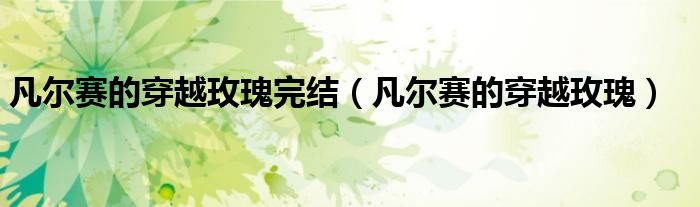 凡尔赛的穿越玫瑰完结(凡尔赛的穿越玫瑰)