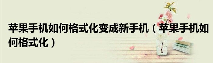 苹果手机如何格式化变成新手机(苹果手机如何格式化)