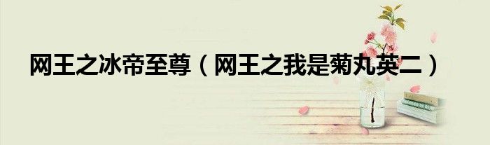 网王之冰帝至尊(网王之我是菊丸英二)