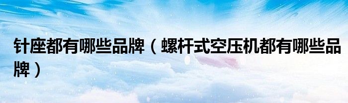 针座都有哪些品牌(螺杆式空压机都有哪些品牌)