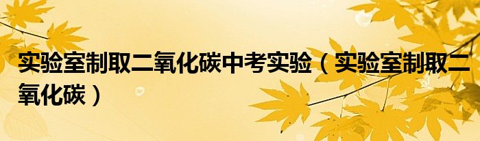 实验室制取二氧化碳中考实验(实验室制取二氧化碳)