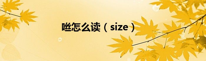 咝怎么读(size)