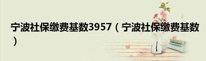 宁波社保缴费基数3957(宁波社保缴费基数)