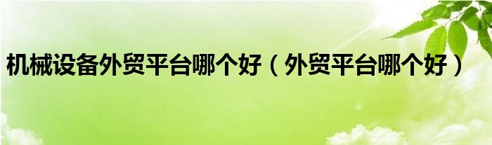 机械设备外贸平台哪个好(外贸平台哪个好)