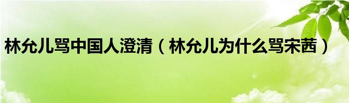 林允儿骂中国人澄清(林允儿为什么骂宋茜)
